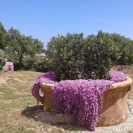 Stazzu Gallurese Vila